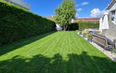 Création de Jardins à Crissier : Conseils Pratiques