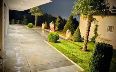Les secrets d’un gazon parfait à Chavannes-près-Renens: Conseils de professionnels pour une pelouse luxuriante