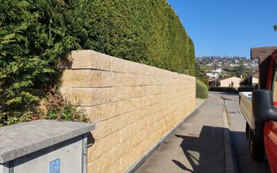 Top 5 Arbustes à Tailler pour un Jardin Esthétique à Prilly